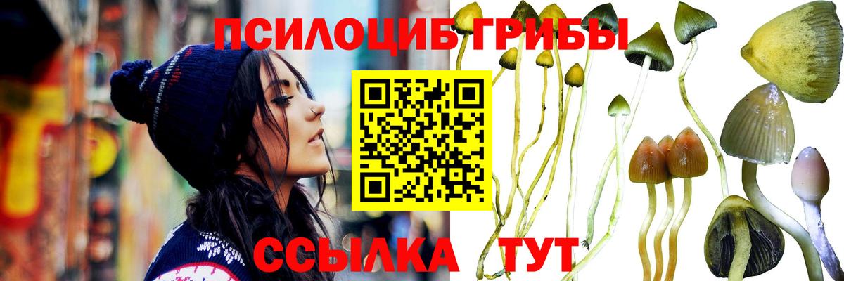 Псилоцибиновые грибы мицелий Михайловск